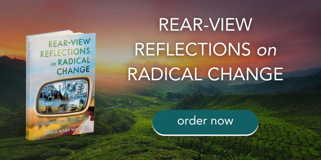 Rear-View Reflections on Radical Change