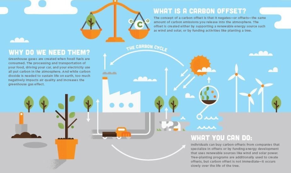 World Econ Forum carbon offset