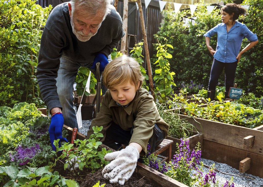 Grandfather, younger mother and child in backyard garden.