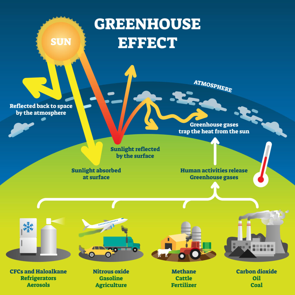 Graphic of Greenhouse Effect - Sun with light absorbed at earth surface or reflected by the surface. Below, human activities produce nitrous oxide, methane, carbon dioxide that trap heat from the sun in the earth's atmosphere.